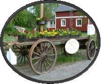 www.ovesplantor.