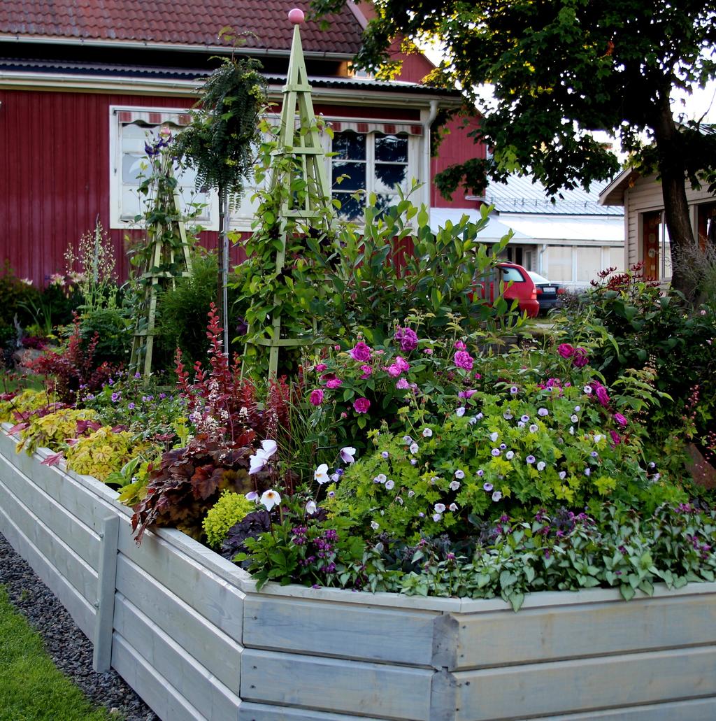 PLANTBYTARDAG Ni missar väl inte vår plantbytardag i Laxparken, Byske (Vid Dammen) 9 juni då vi byter plantor