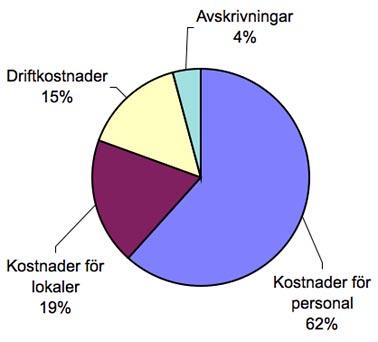 kopplingen mellan magnetosfärens gränsskikt och jonosfären/atmosfären i norr- och sydskensovalerna.