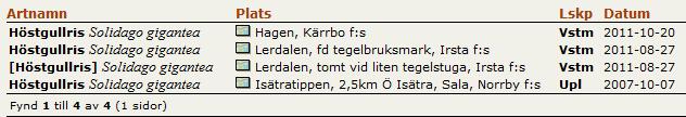 Höstgullris Solidagogigantea Frösprids