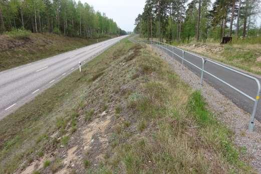 örter och boplatser för insekter.