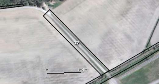 Delområde 37. Blomrika vägkanter nordväst flygfältet Figur 151. Delområde 37.