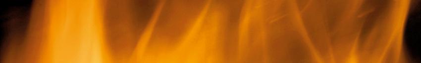 Bevent Rasch -
