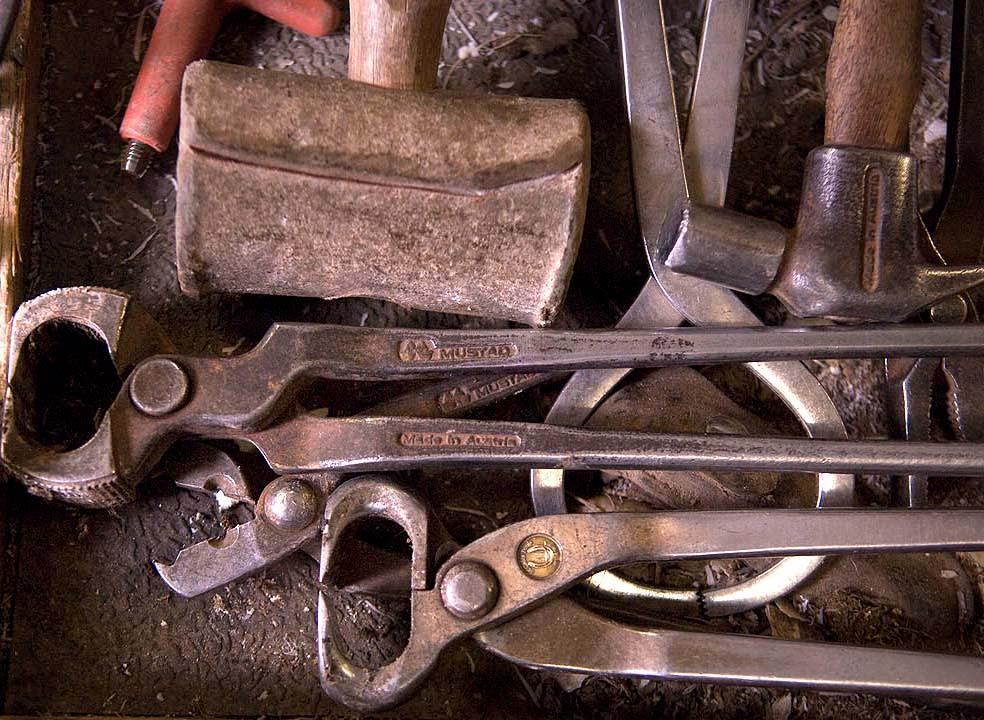 Entreprenörskap 50