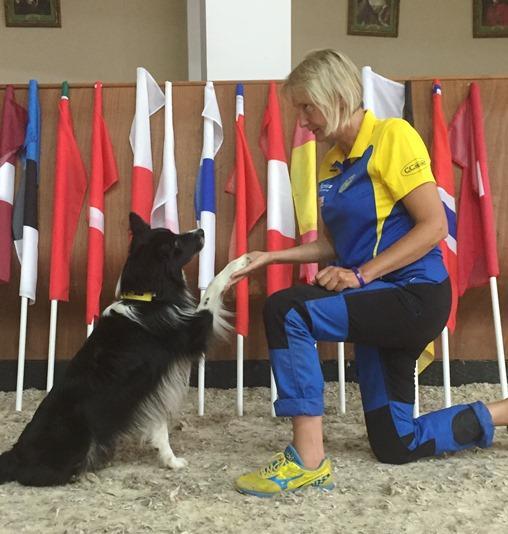 Maria Brandel & Eazy Working Aadi - App Jag har varit med i landslaget i spår, sök, räddning samt varit med i lydnadslandslaget de senaste 10 åren.