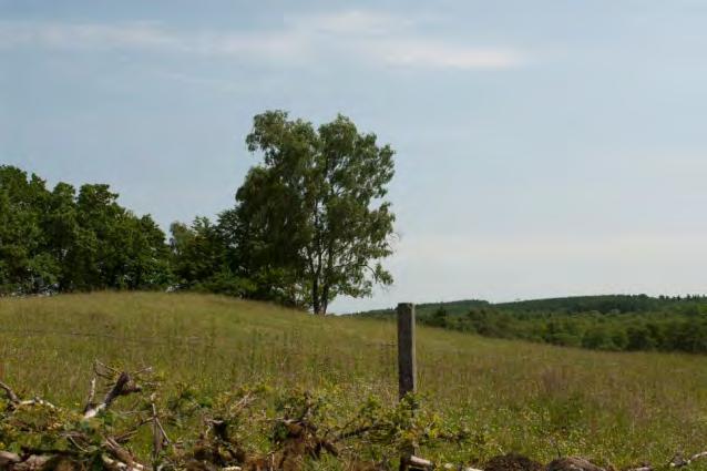 Stora natur och friluftsvärden. Skåneleden löper längs åsen.