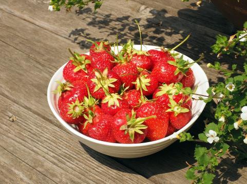 Hej! Snart väntar midsommar, semester och förhoppningsvis välbehövlig vila för alla. Inom Tandvårdsenheten har vi under vintern och våren fått en del förändringar i bemanningen.