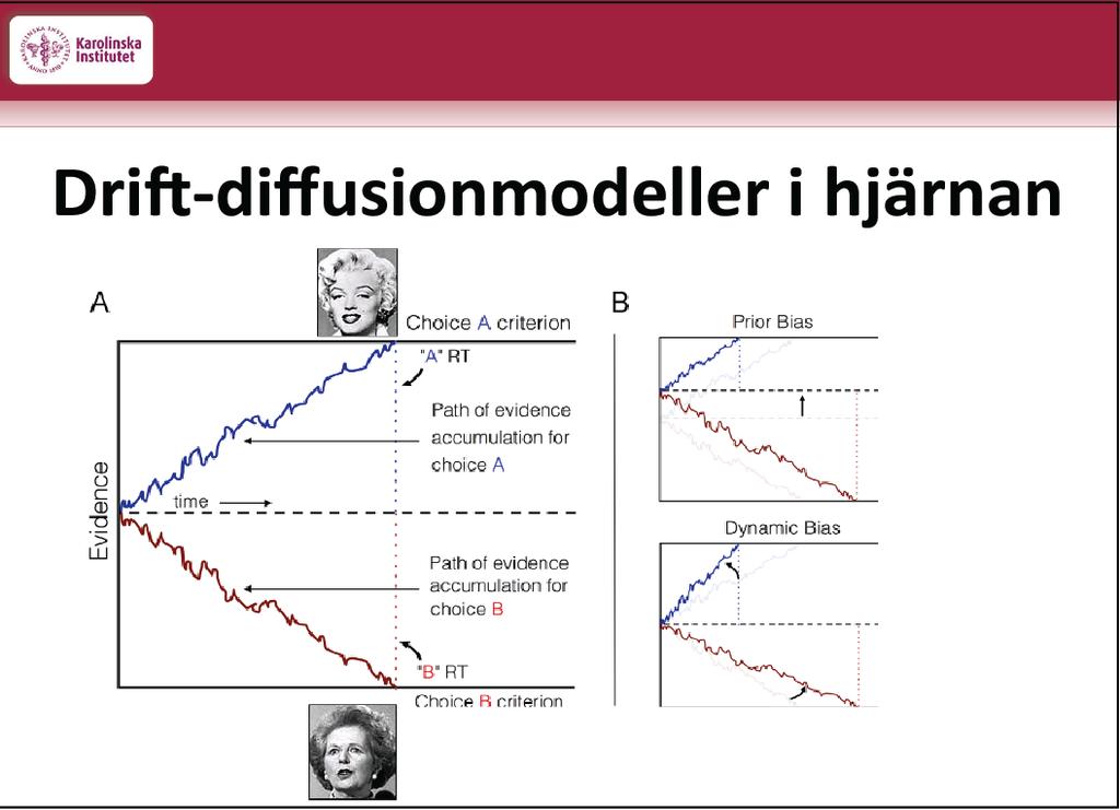 emotionell instabilitet är dåliga på den här formen av reglering, framför allt de som tidigare gjort suicidförsök. Drift-diffusionmodellen. Ofta är informationen blandad och blir då svår att tyda.