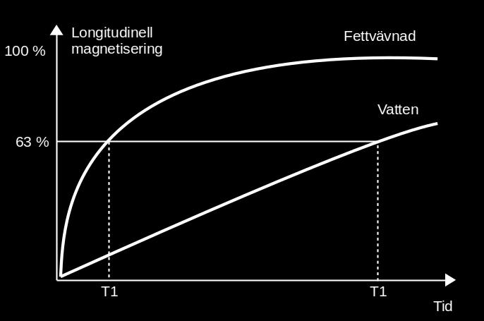 mera rörelser och störningar i magnetfältet snabbar på urfasningen. (Chavhan, 2013, s. 11 12). 16 Figur 4.