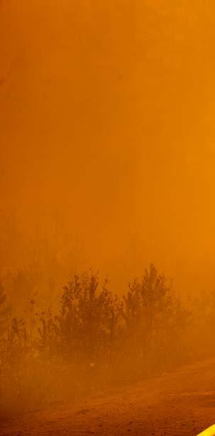 16 SKOGSBRÄNDERNA OKTOBER 2018 TJUGOFYRA7 #39 Branden i Kårböle i Ljusdals kommun blev den enskilt största av sommarens alla skogsbränder.
