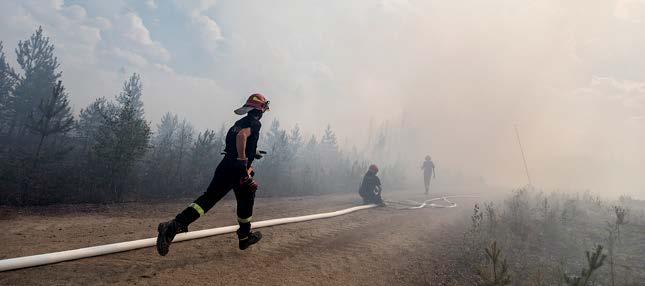 4 SKOGSBRÄNDERNA OKTOBER 2018 TJUGOFYRA7 #39 Polska brandmän lägger ut slang i närheten av Kårböle.