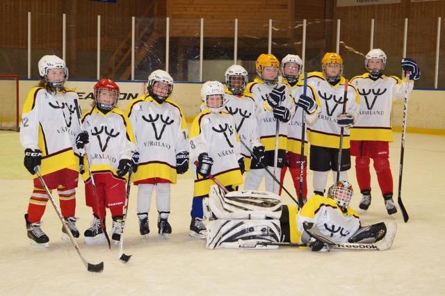 TJEJHOCKEYPROJEKTET forts. Den stadiga ökningen av antalet tjejer gjorde det möjligt att för första gången kunna starta upp poolspelserier enbart för tjejer i förbundets regi till säsongen 15/16.