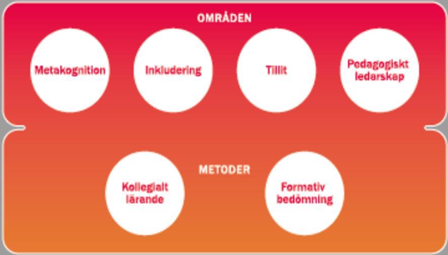 Viktiga områden att integrera i utvecklingsarbetet Evidens för viktiga områden att integrera