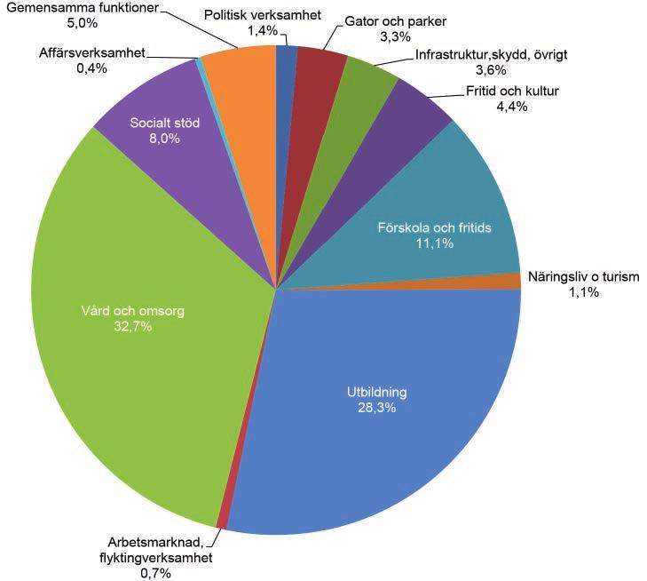 Vart gick kommunens pengar 2013? Diagrammet visar översiktligt hur sektorernas nettokostnad på 816,2 mnkr fördelas på typ av verksamhet.