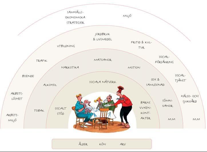 Hälsans bestämningsfaktorer (jfr Dahlgren &