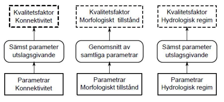 kvalitetsfaktorn morfologiskt tillstånd tas medelvärdet av de klassificerade parametrarna (FIGUR 1), vilka framgår av tabell 1. Figur 1.