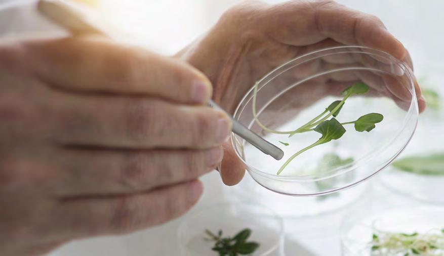 Jordnära ingredienser. Forskningsdrivna resultat. Genom att kombinera naturlig näring med rigorösa kliniska tester och patenterade processer, är SanoKardio en lösning med stöd i klinisk forskning.