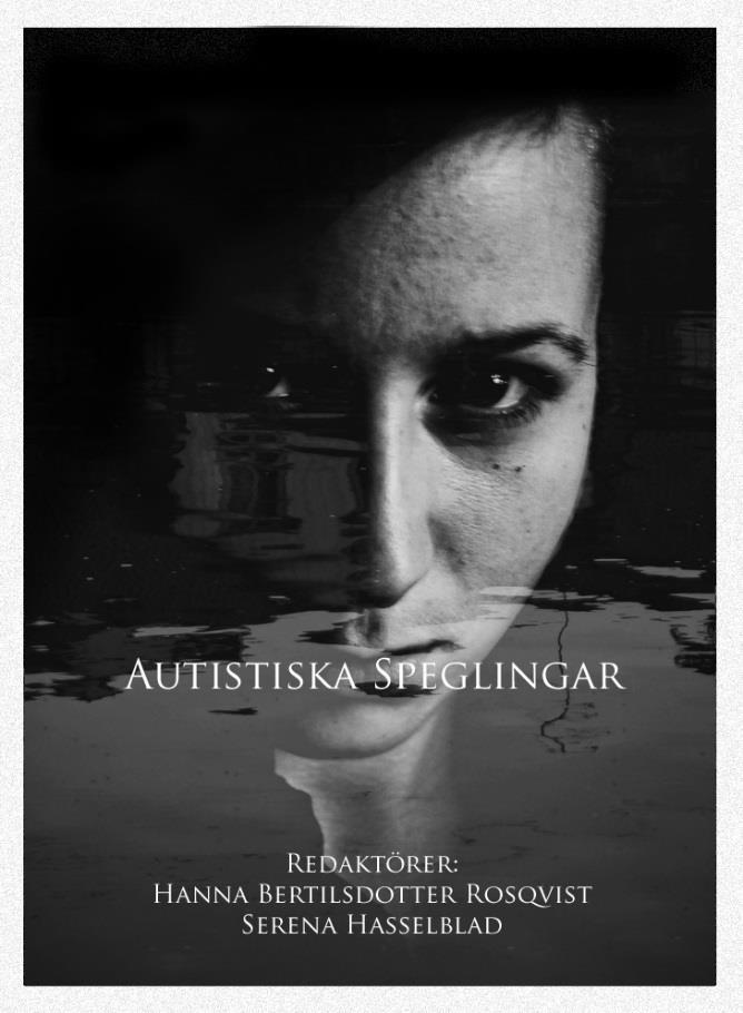 3. Bok projektet autistiska reflektioner och berättelser, en grupp-biografi Teman