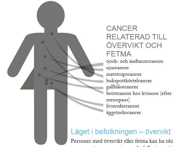 Övervikt och fetma Cancer relaterad till övervikt och fetma: Tjock- och ändtarmscancer Njurcancer Matstrupscancer Bukspottkörtelcancer