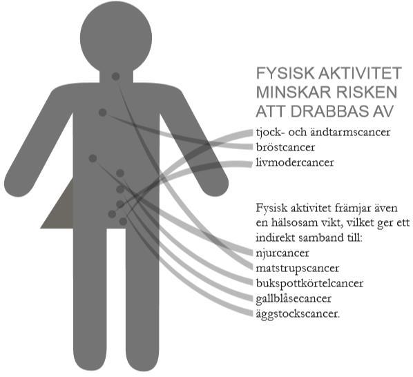 Bukspottkörtelcancer Gallblåsecancer Äggstockscancer 15 % av befolkningen har en stillasittande