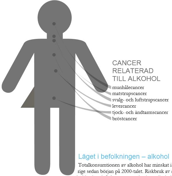 Alkohol Cancer relaterat till alkohol: Munhålecancer Matstrupscancer Svalg-
