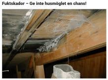 mögelmodeller Lars Wadsö,
