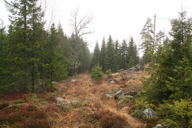 Ingår i Stenbrohults viltvårdsområde. Ej fiske. Natur/kultur Inga nyckelbiotoper.