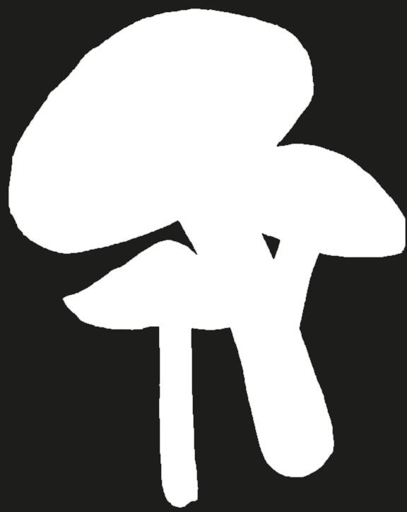 program