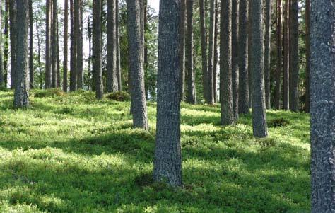 miljö- areella och näringar riskfaktorer Areella näringar Skogskubikmeter Skogskubikmeter (m 3 sk) är en enhet som används för att beteckna ett skogsbestånds virkesbolym.