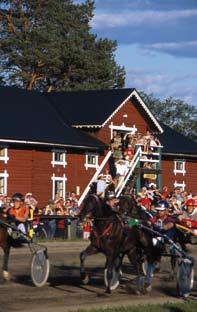 Hästar och hästsport utgör i dag en av våra populäraste fritidssysselsättningar.