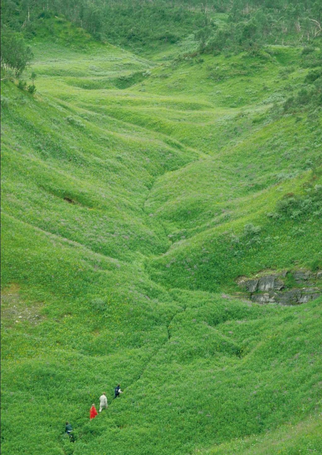 natur-, kultur & friluftsvärden