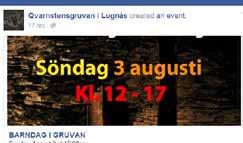 Att man väljer centralmuseerna beror på att deras verksamhet finansieras av statsbidrag.