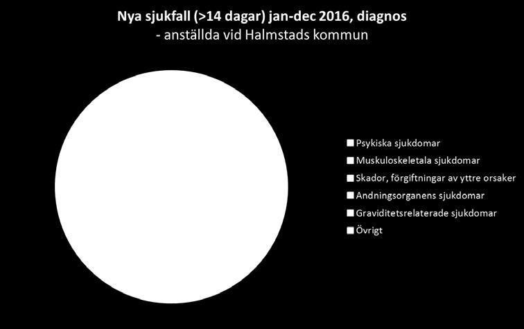 Diagnoser Övrigt innefattar diagnosgrupper som var för sig står för mindre än 4 procent av sjukfallen. Ex sjukdomar relaterade till hud, ögon, öron, neurologi, tumörer med mera.