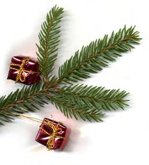 Marias barn lsa granström bredde en bakduk över den sista plåten med jullimpor. Sönerna skulle få sin ranson, som vanligt.