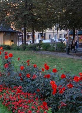 Åparken aktiveras parkstråket +En mångfald av vistelsevärden gör Åparken attraktiv för fler olika