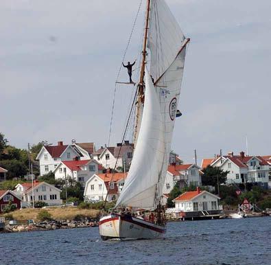 16 ÖCKERÖ Björkö, Rörö m fl KUNGÄLV Marstrand Skärgårdssafari bland kobbar och säl ett båtäventyr med Seaside Shuttle. Vi anpassar oss till vädret med både färdväg och varma kläder/regnskydd.