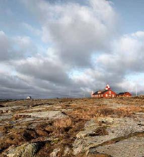 Stormsvalan är en sällsynt fågel i Sverige och Måseskär är en av få platser är denna nordatlantiska fågel kan dyka upp. Tid: lördag 2/8 söndag 10/8 kl.10.00 17.
