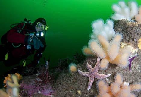 26 LYSEKIL Lysekil, Grundsund SOTENÄS Hållö, Smögen, Se filmen Strömmar av plast - Västerhavets dilemma. Med Ren kust Bohuslän och KIMO Sverige. Tid: tisdag 5/8 kl.14.00 18.