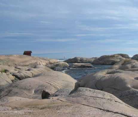 Gullmarn. Dagen blir ett riktigt artrace! Arrangeras av Västkuststiftelsen. Vandring på Tjurpannan Vi vandrar i exponerad skärgård med vidsträckta utsikter och intressant flora, fauna och geologi.