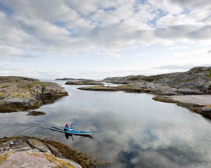 32 VÅRA ARRANGÖRER Vi är Västerhavsveckan Äntligen är det dags för en Västerhavsvecka igen. Havet behöver vår omtanke mer än någonsin. Under våren har rödlistning av räkan diskuterats.