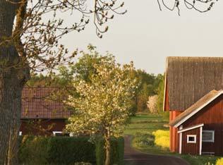Nyttjanderättshavare, t.ex.