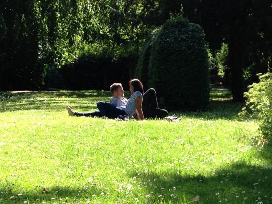 Park och natur Park: alla typer av grönområden som kräver