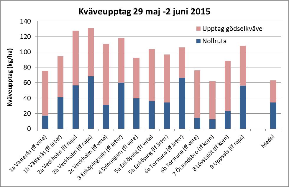 Flaggbladet har nu börjat växa fram och alla fält vi mäter i har nått minst DC 37. Veckans mätning gjordes den 1 och 2 juni, förutom Veckholm som mättes den 29 maj.