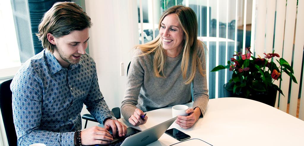 3 BLI EN BÄTTRE BESTÄLLARE Store Detta är nivån för själva e-handeln där tjänsterna presenteras på ett pedagogiskt och visuellt sätt utifrån olika kategorier.