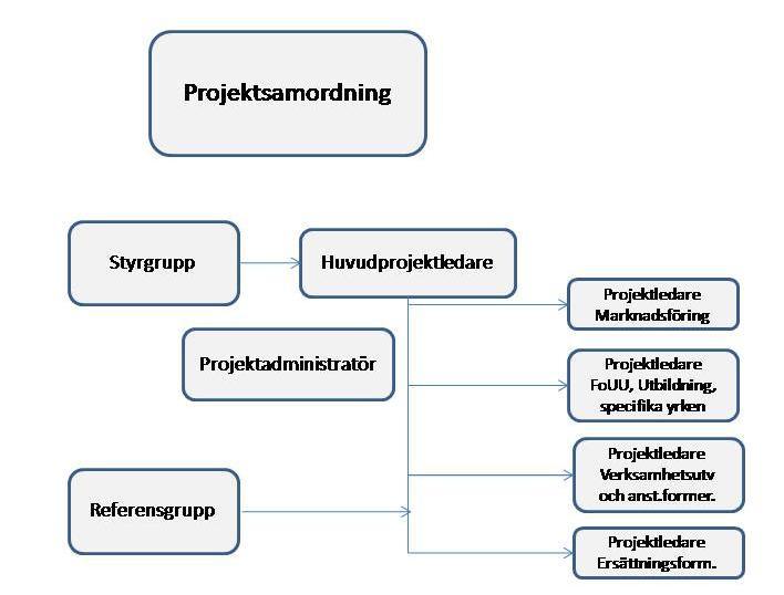 Projektorganisation