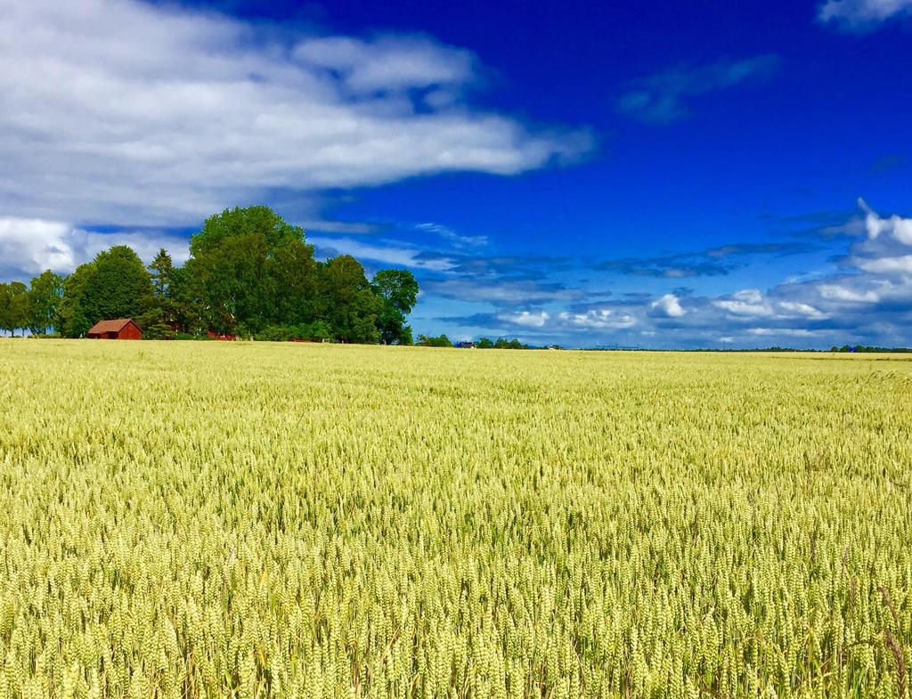 Det prioriterade hållbarhetsarbetet Så ser 400 svenska