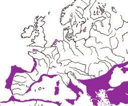 EMANUELSSON & HAGLUND Sandbroddens utbredning i Europa har sin tyngdpunkt kring Medelhavet och längs Atlantkusten i sydväst. The European distribution of Milium vernalis. gräset då vissnat ned helt.