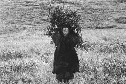 VÄXTER HOS NENTSERNA Insamling av dvärgbjörksris är en vardaglig men livsnödvändig syssla för att få bränsle. Gathering of Betula nana is an important daily work to get firewood.