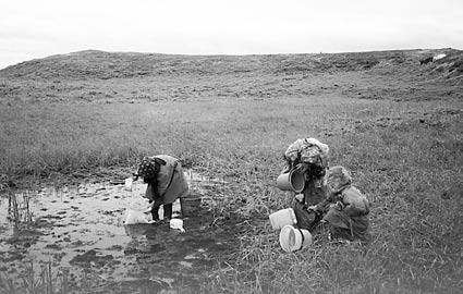 KÄLLMAN Den bruna vitmossan visar var det finns drickbart vatten. Vattnet silas först genom ett tygskynke. The brown Sphagnum moss shows where drinking water can be fetched.