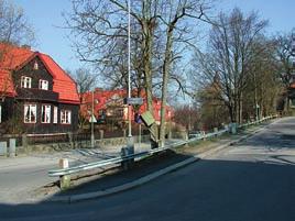 EK m.fl. Getlaven upptäcktes oväntat häromåret i centrala Göteborg, kanske ett exempel på långspridning. Lavbålen är ca 4 cm stor och sitter på den högra askstammen mitt i bilden. Foto: Björn Nordén.